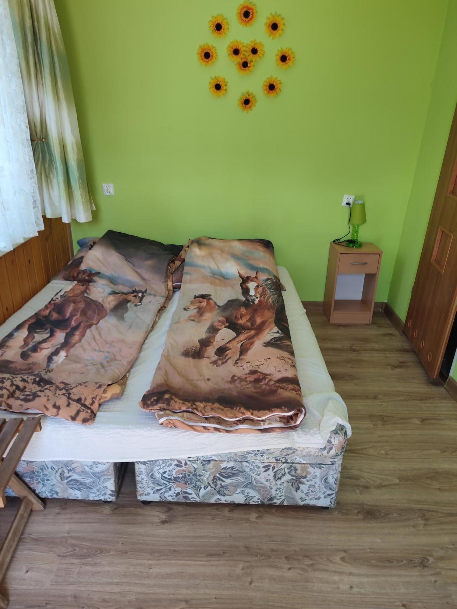 Iza-Pokoje Do Wynajecia Wiselka Ngoại thất bức ảnh
